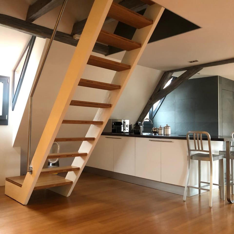 DUPLEX 15 Apartment in Colmar