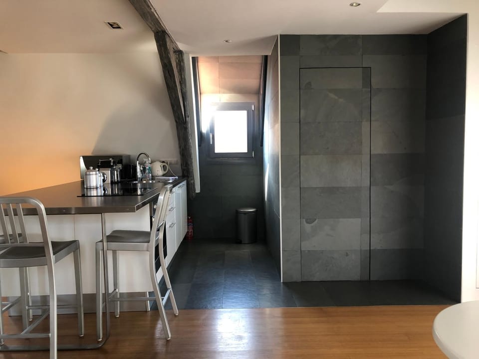 DUPLEX 15 Apartment in Colmar