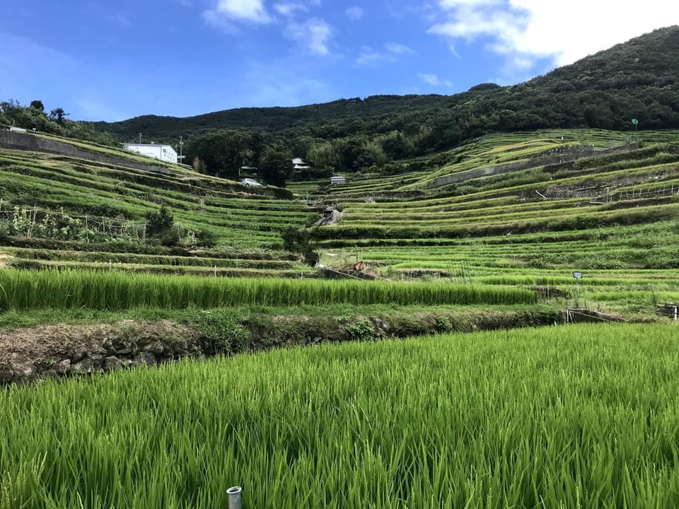 Natural landscape