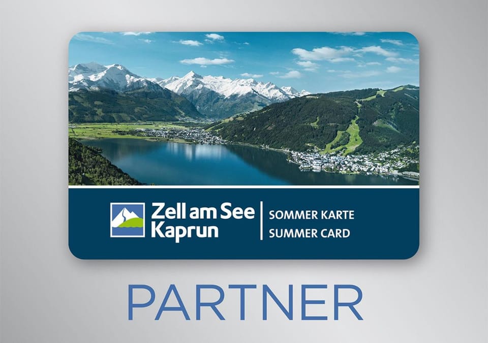 Apartment Schmitten 67 Apartment in Zell am See
