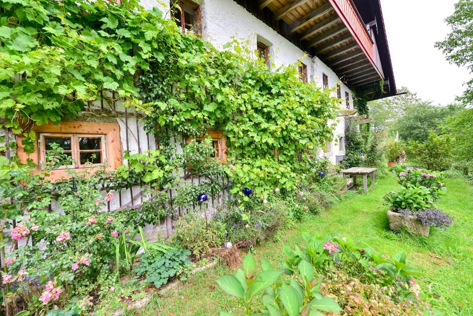Property building, Garden, Garden view