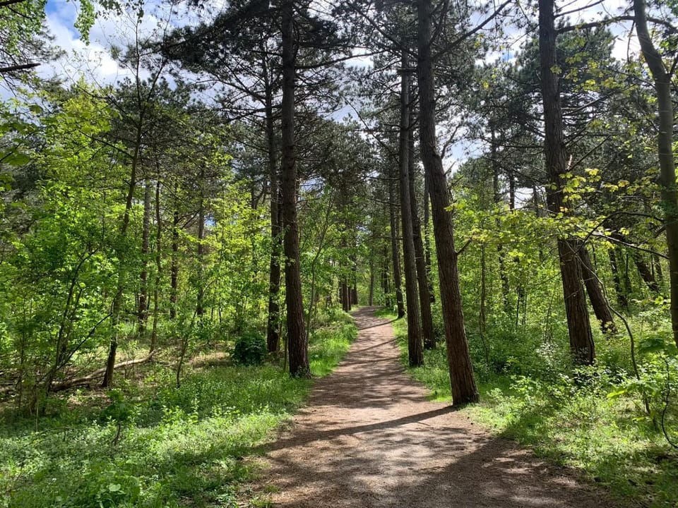 Spring, Day, Natural landscape