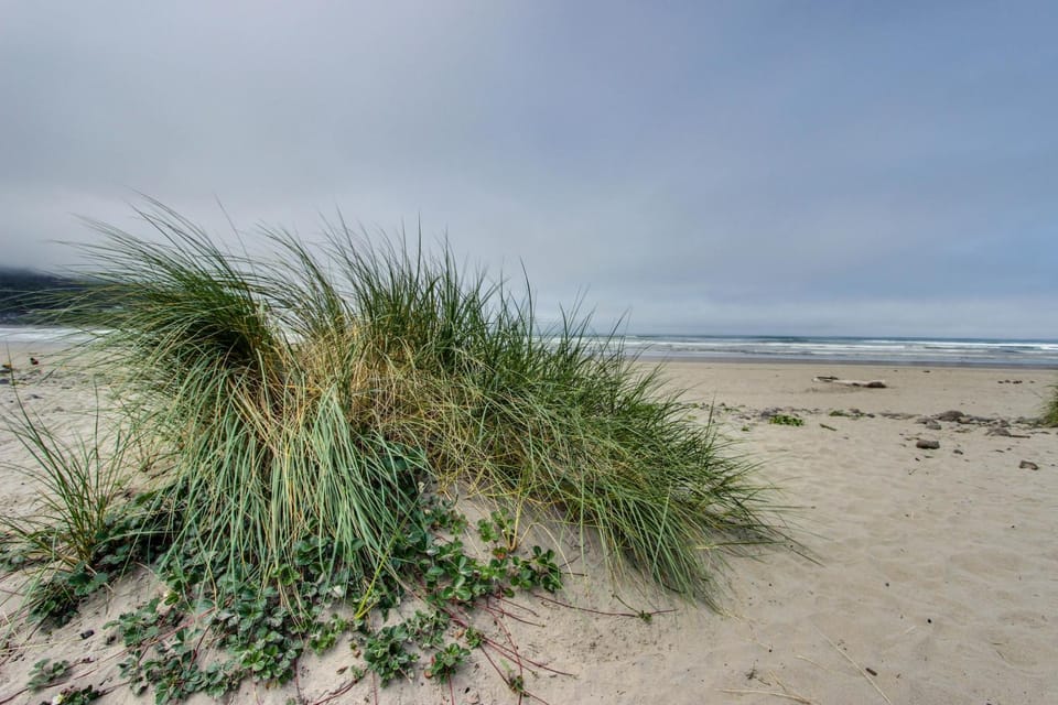 Whaler's Point House in Seaside