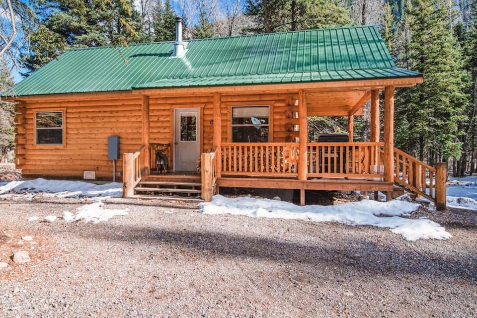 Moose House in Colorado