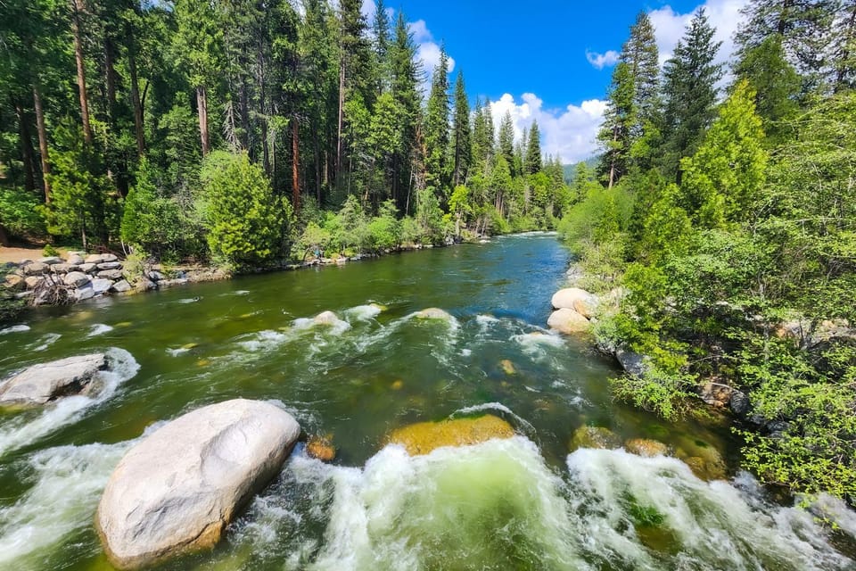 Pine Paradise House in Dorrington