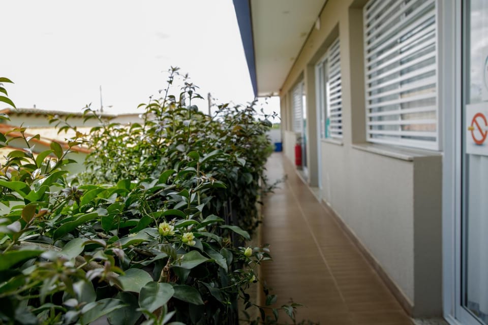 Balcony/Terrace, Garden view