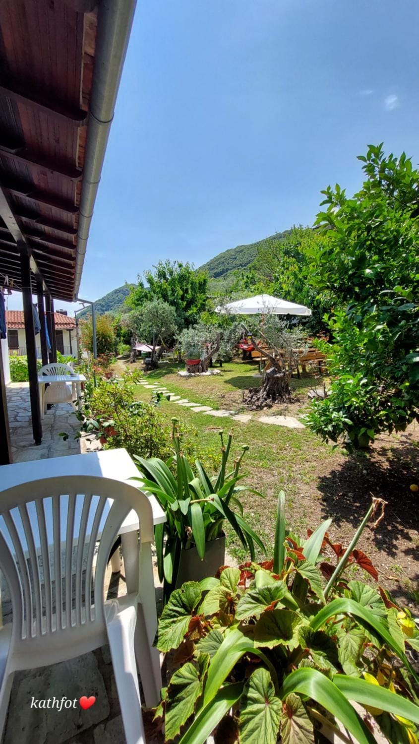 Spring, Day, Natural landscape, Garden, Garden view, Mountain view