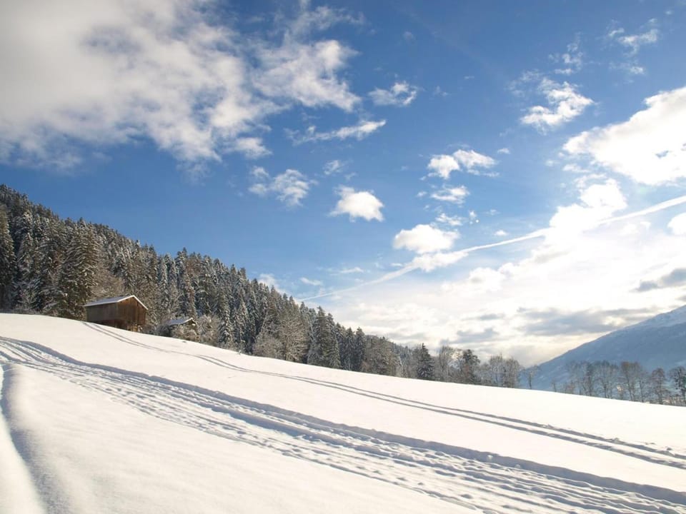 Natural landscape, Winter