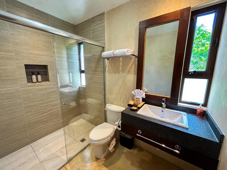Shower, Toilet, Bathroom, Bath, towels