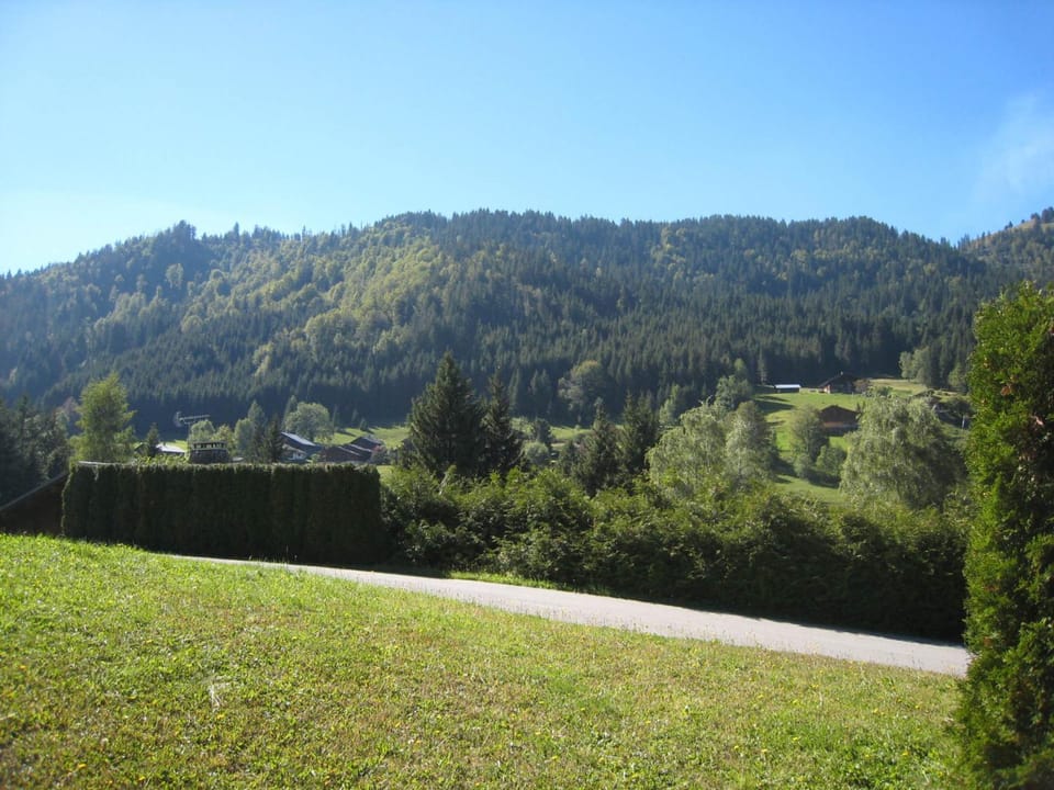 Charmant studio avec terrasse et WIFI à La Clusaz - FR-1-459-64 Apartment in La Clusaz