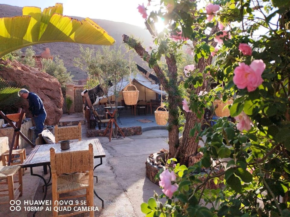 Patio, Natural landscape, Garden