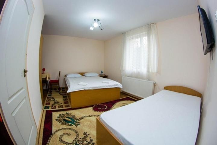 casa elysse Vacation rental in Romania