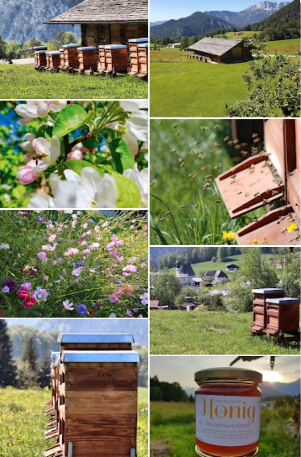 Antenbichllehen Ferienwohnungen Apartment in Berchtesgaden