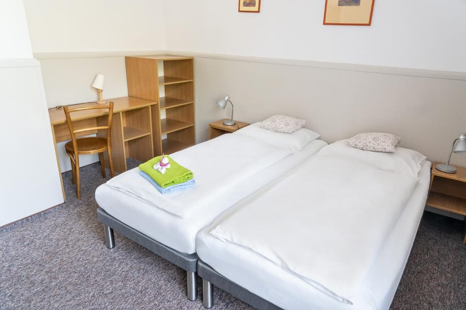 Bed, TV and multimedia, Photo of the whole room, Bedroom, Pets