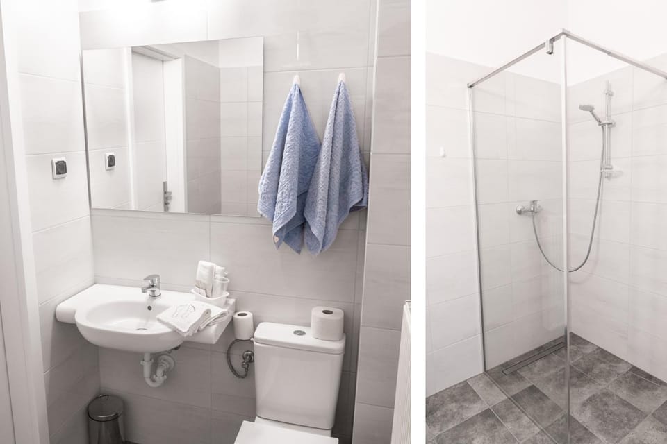 Shower, Toilet, Bathroom, towels