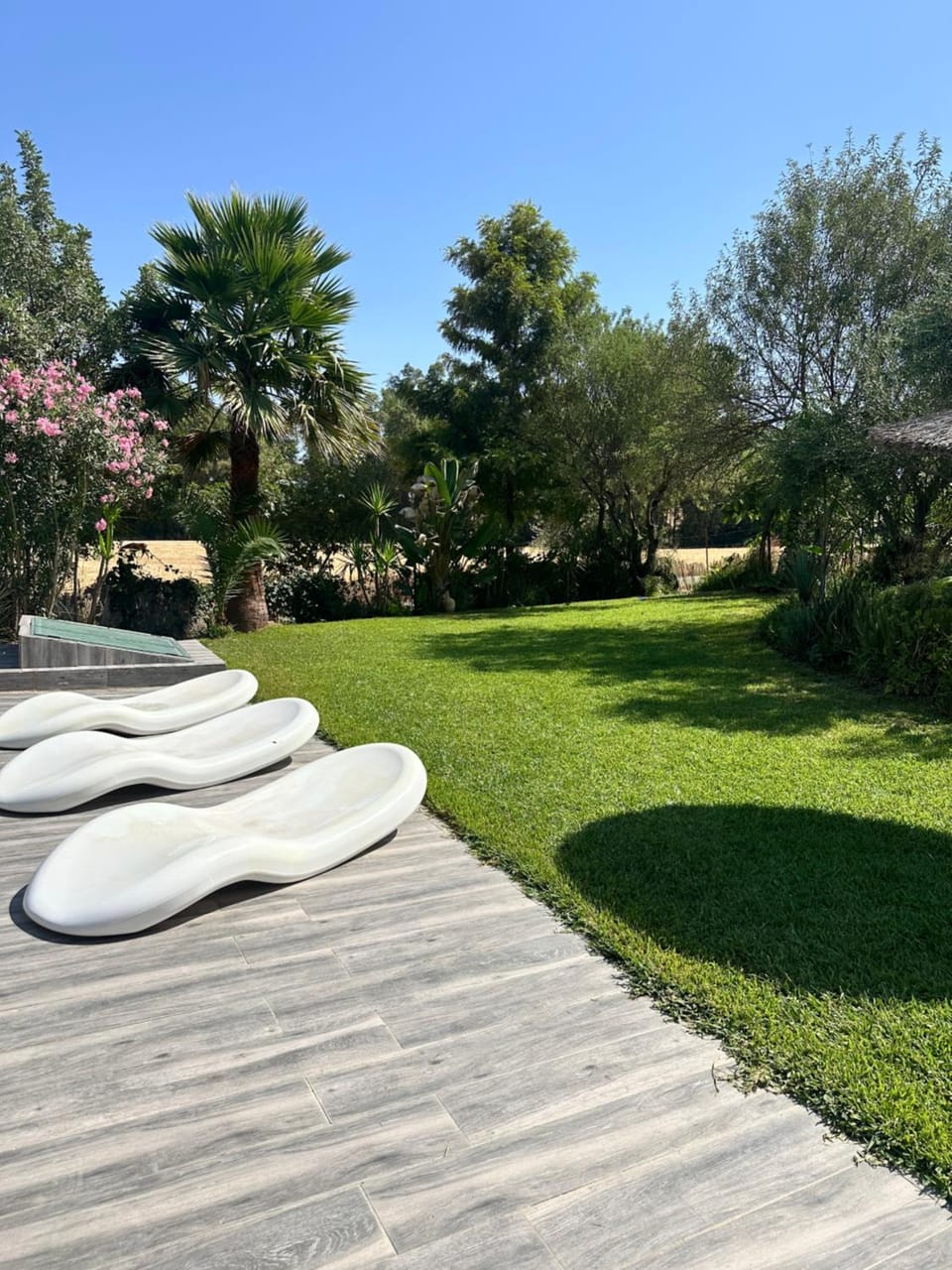Garden view