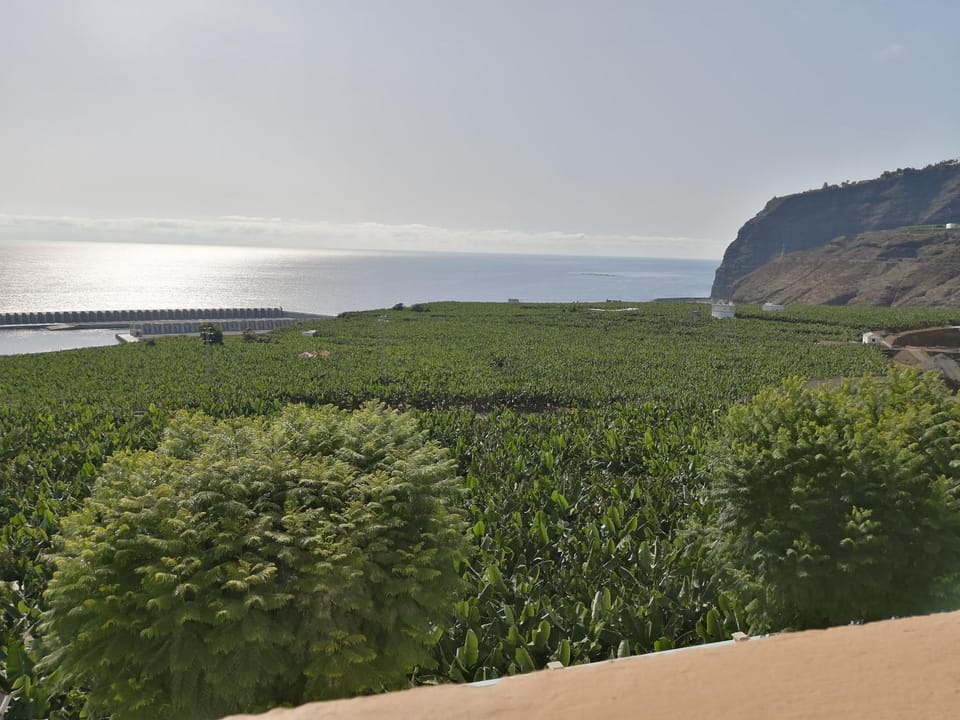 Quinta Miramar House in Tazacorte