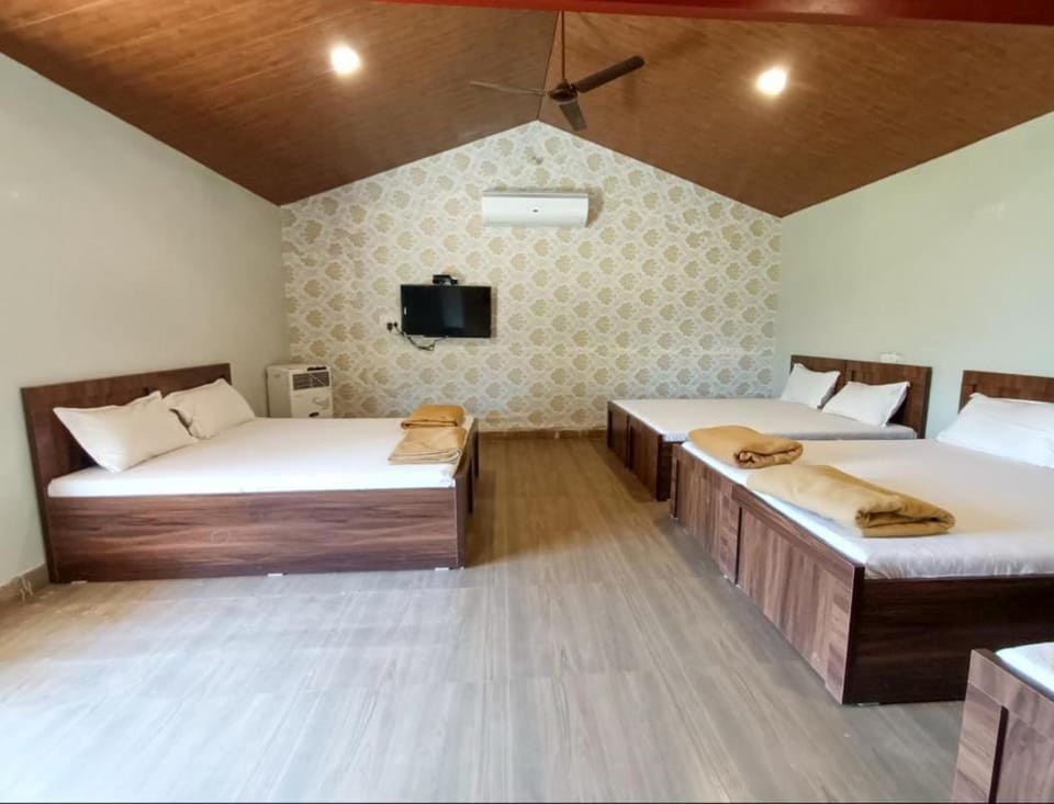 Bed, TV and multimedia