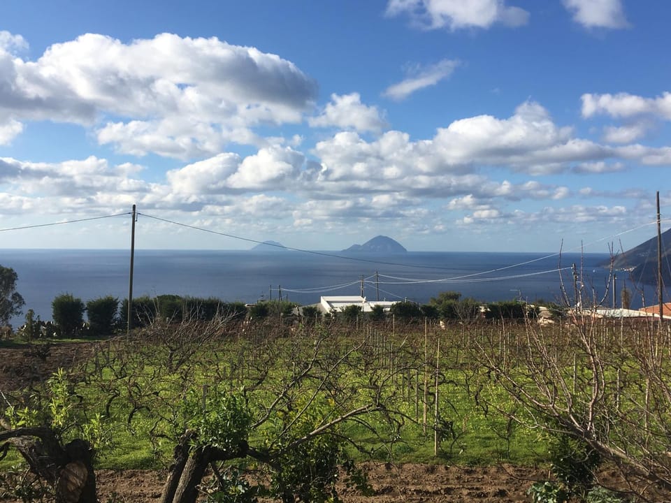 Garden, Garden view, Sea view