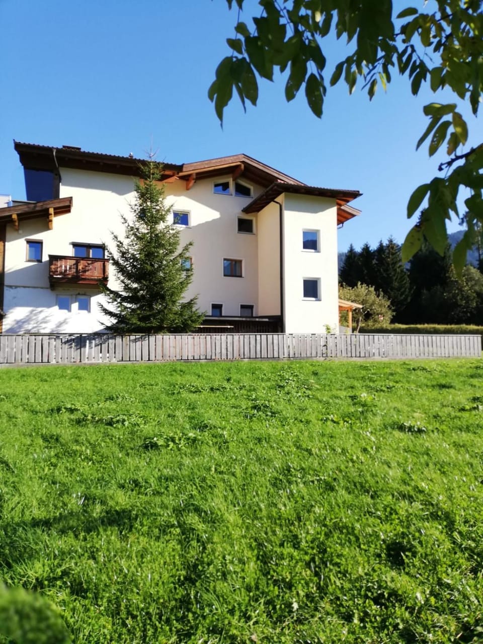 Property building, Day