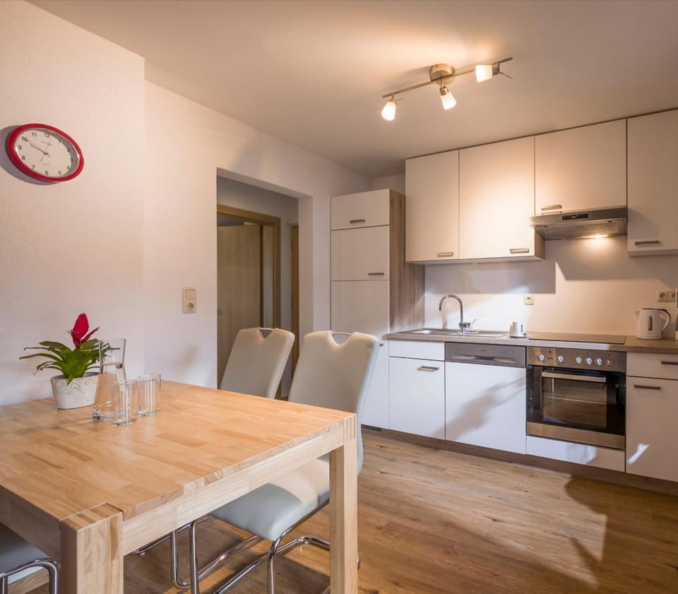 Kitchen or kitchenette, Dining area, dishwasher, oven, stove