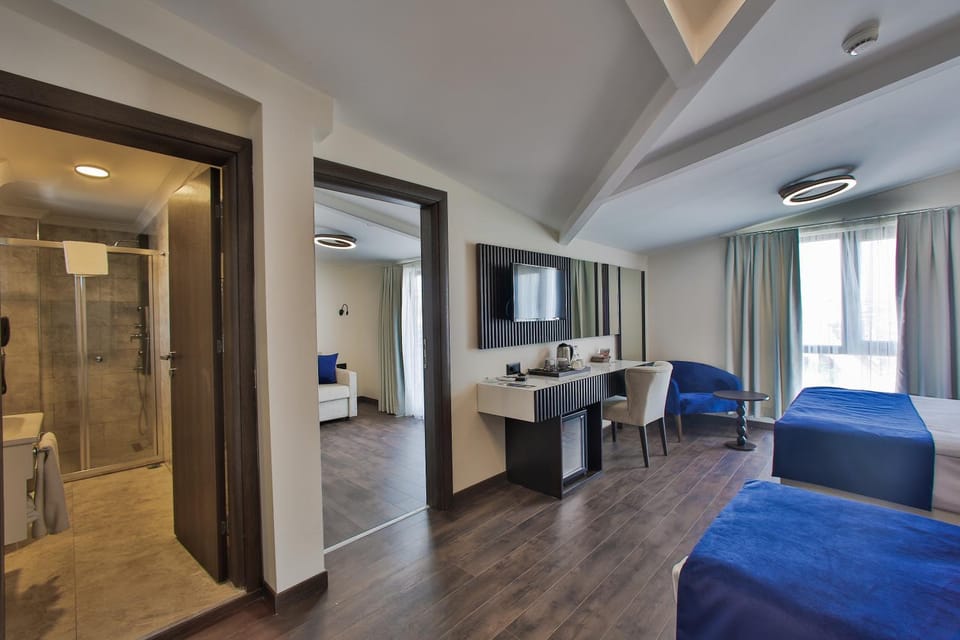 Toilet, Bathroom, TV and multimedia, Balcony/Terrace, Living room, Other, Photo of the whole room, Decorative detail, Seating area, Bedroom