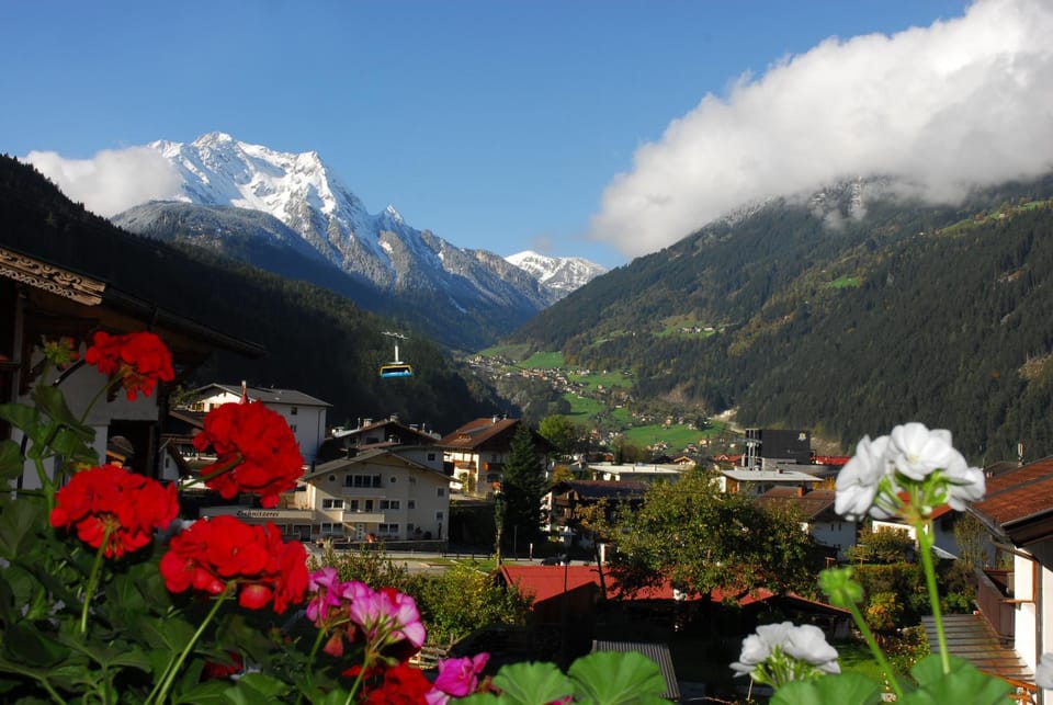 Balcony/Terrace, Mountain view