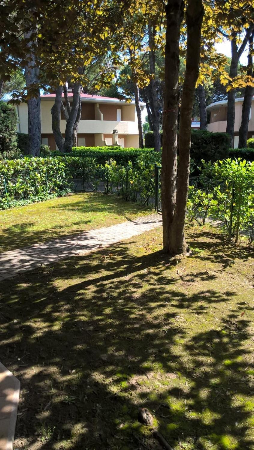 Garden, Garden view