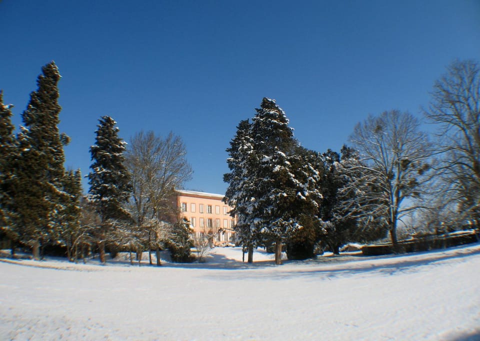 Day, Natural landscape, Winter, Garden