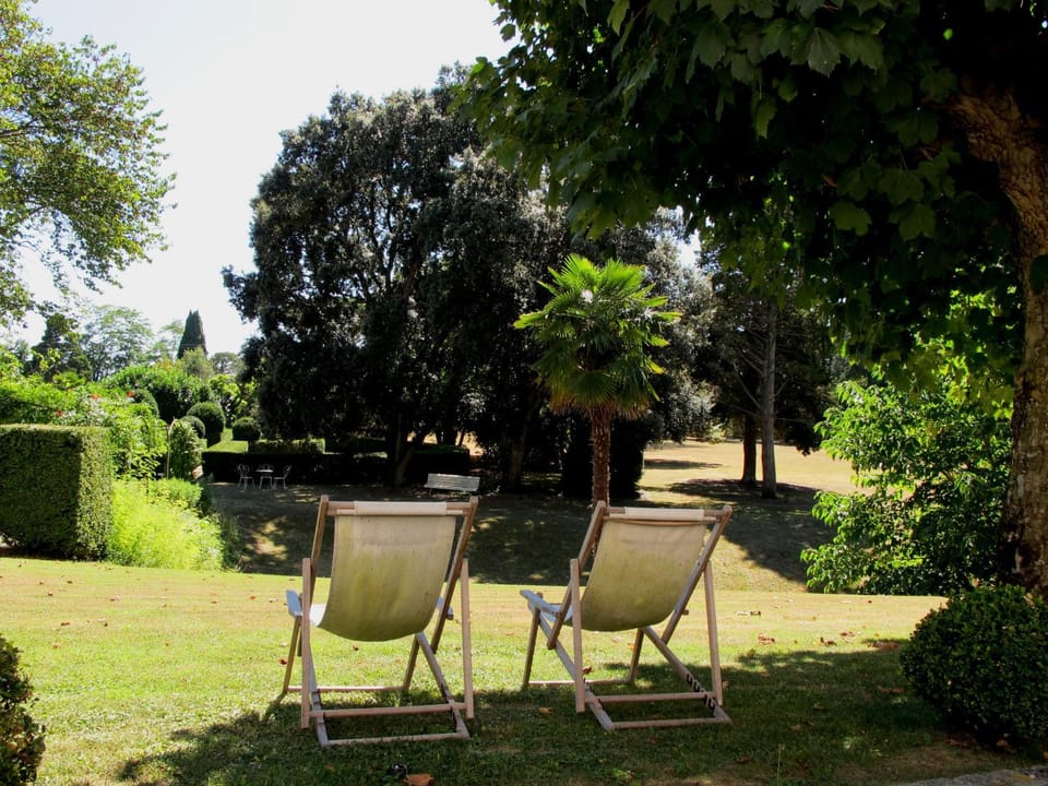 Natural landscape, Garden, sunbed