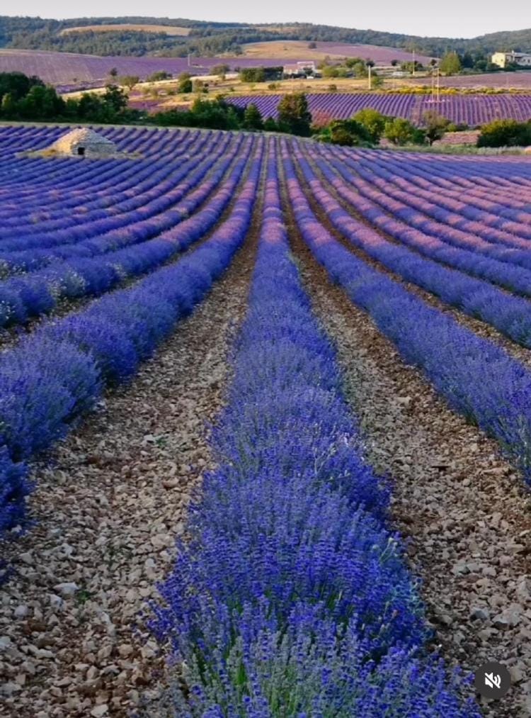 L ANNEXE House in Malaucène