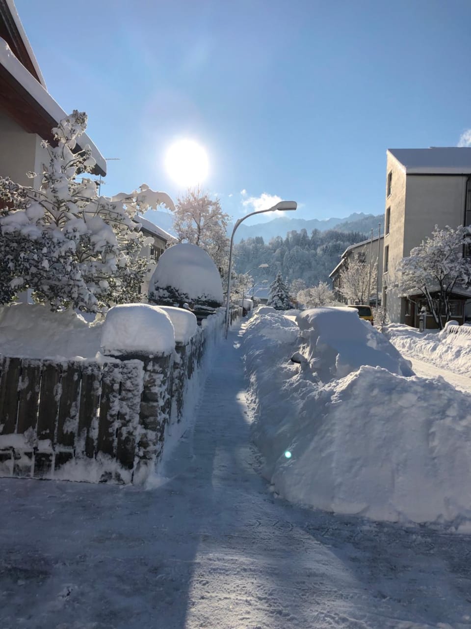 Winter