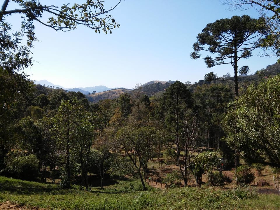 Natural landscape