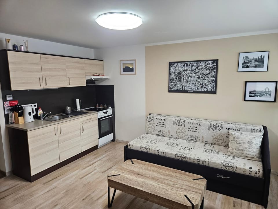 Kitchen or kitchenette, Living room, Seating area