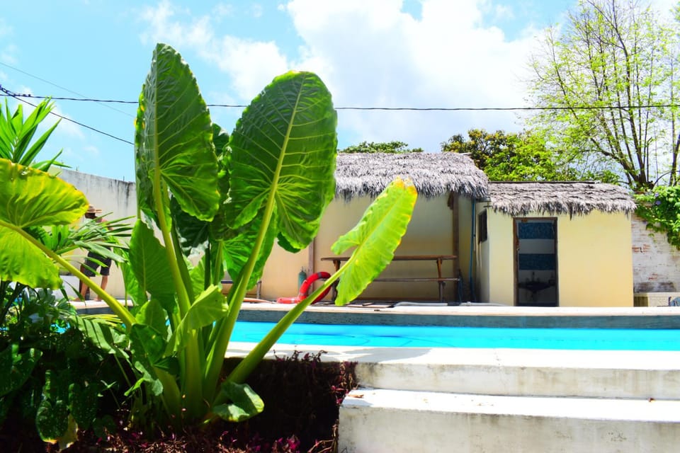 Swimming pool