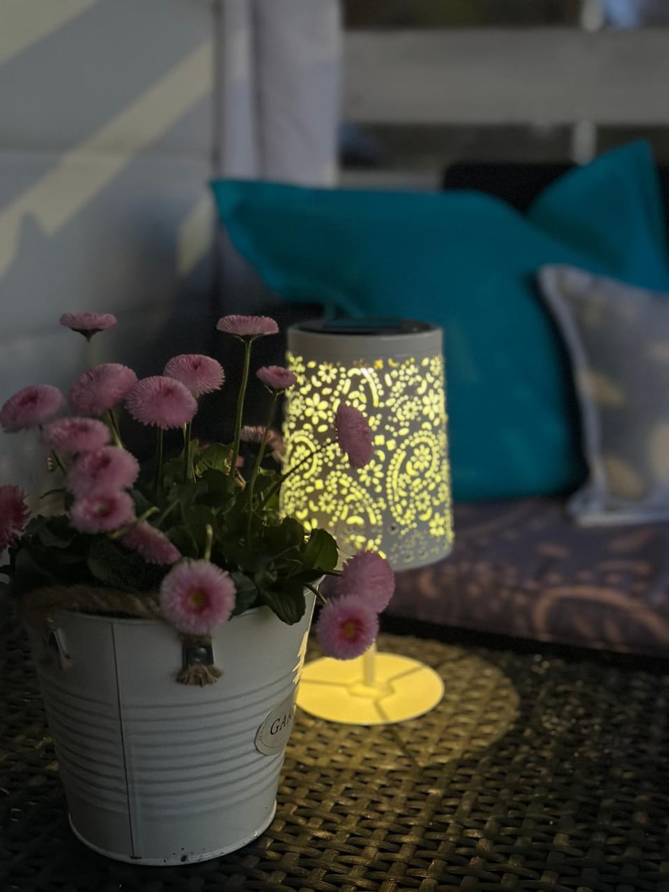 Balfala domki nad morzem Nature lodge in Pomeranian Voivodeship