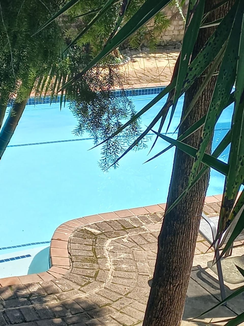 Garden view, Pool view, Pool view