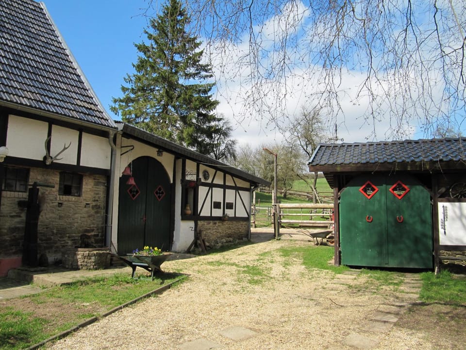 Property building, Garden, Animals, Pets, Garden view