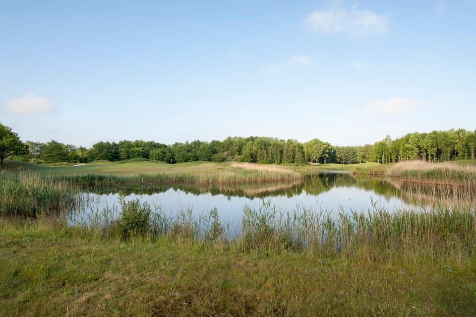 Natural landscape, Golfcourse
