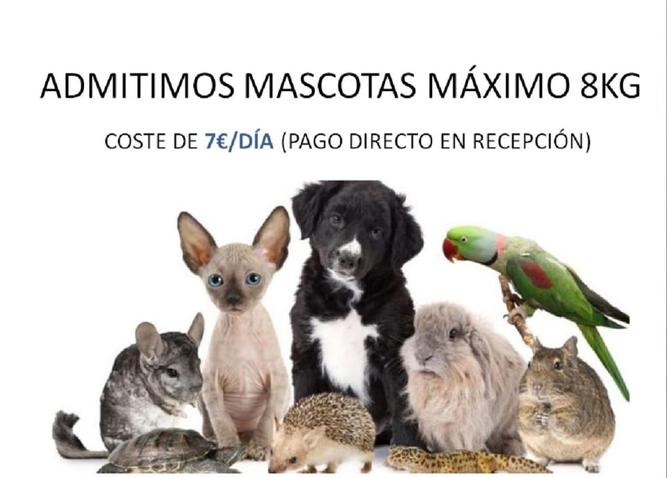 Animals, Pets