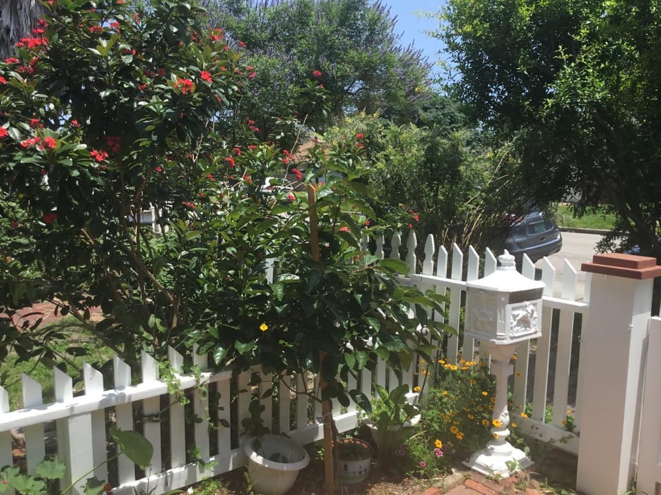 1118 Postoffice Street Apartment in Texas City