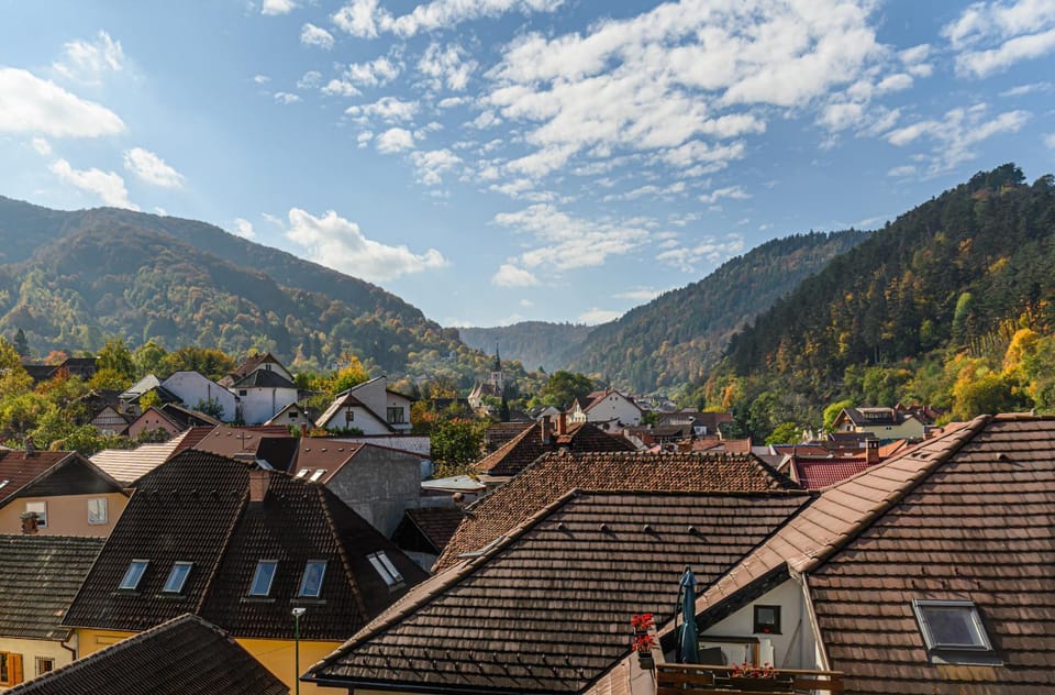 Sun Villas Accommodation Brasov Villa in Brasov