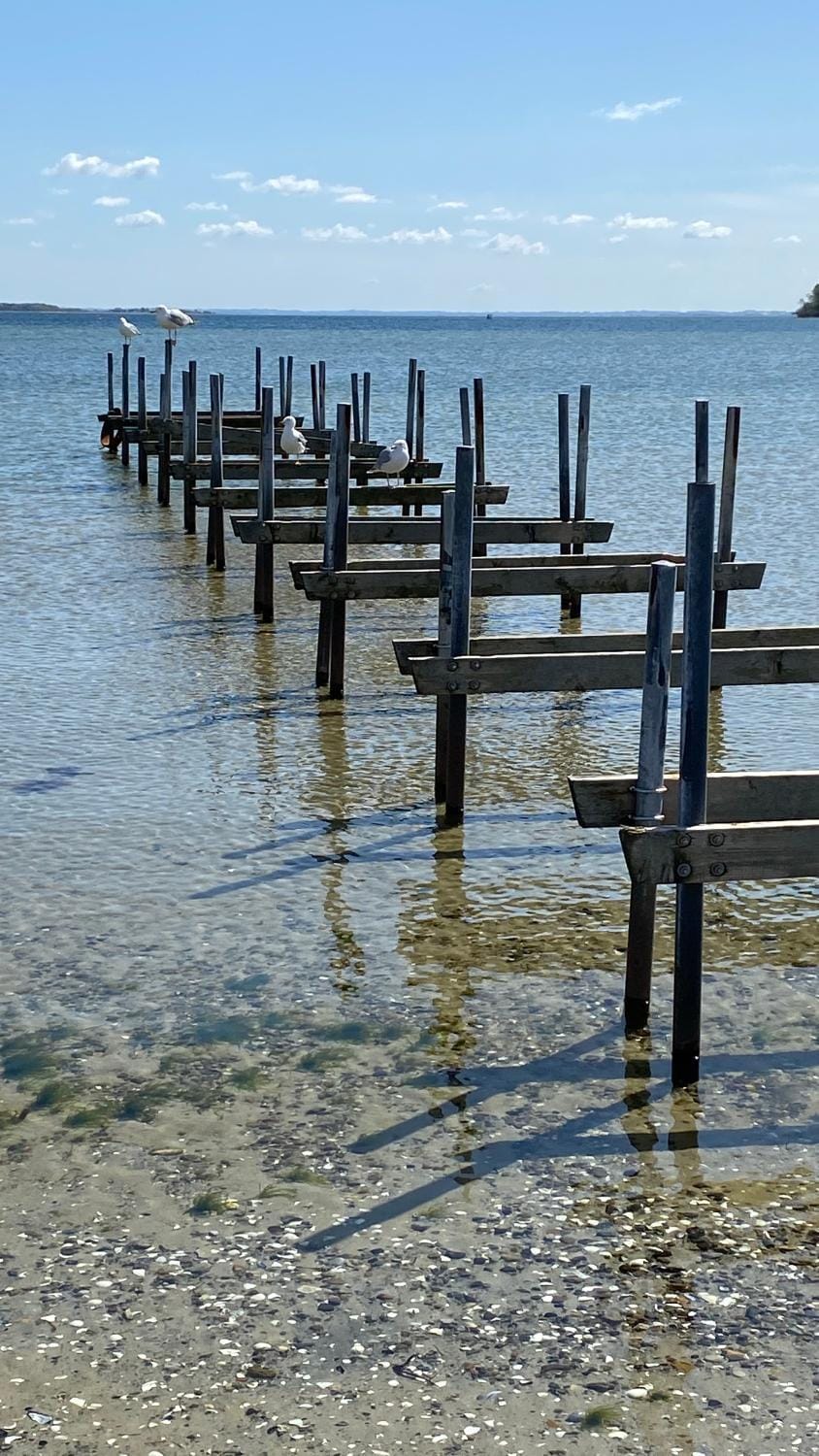 Natural landscape, Beach