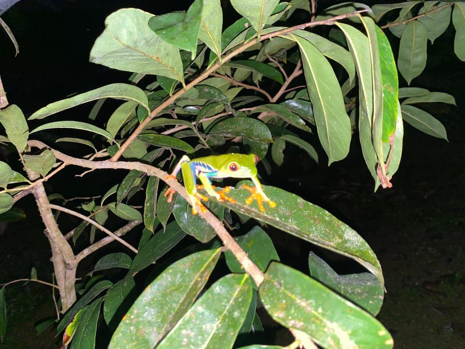 Iguanitas Lodge Bed and Breakfast in Alajuela Province