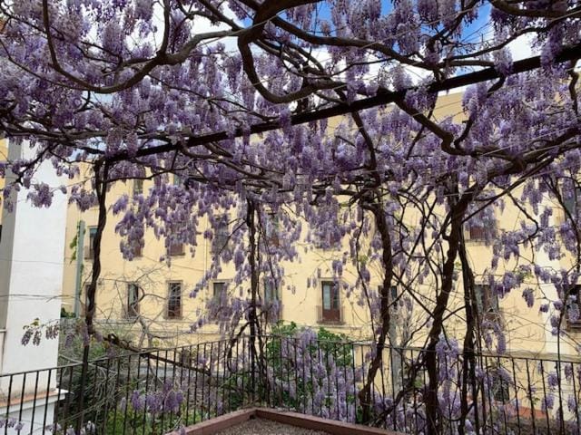 Appartamento Il Glicine Apartment in Catania