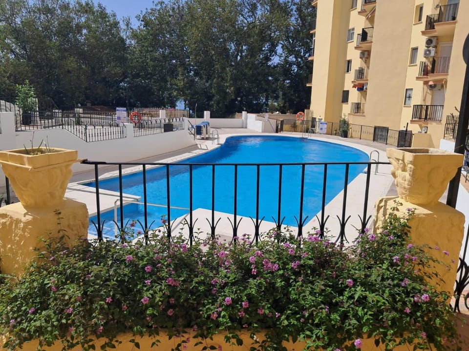 Swimming pool, Public Bath