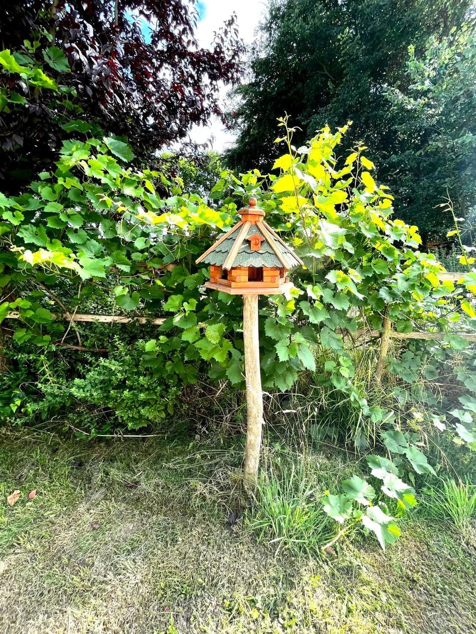 Natur&Meer: Ferienwohnung im idyllischen Landhaus Apartment in Mecklenburg-Vorpommern, Germany