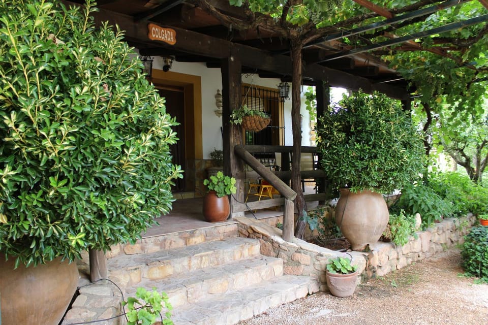 Garden, Balcony/Terrace, Garden view