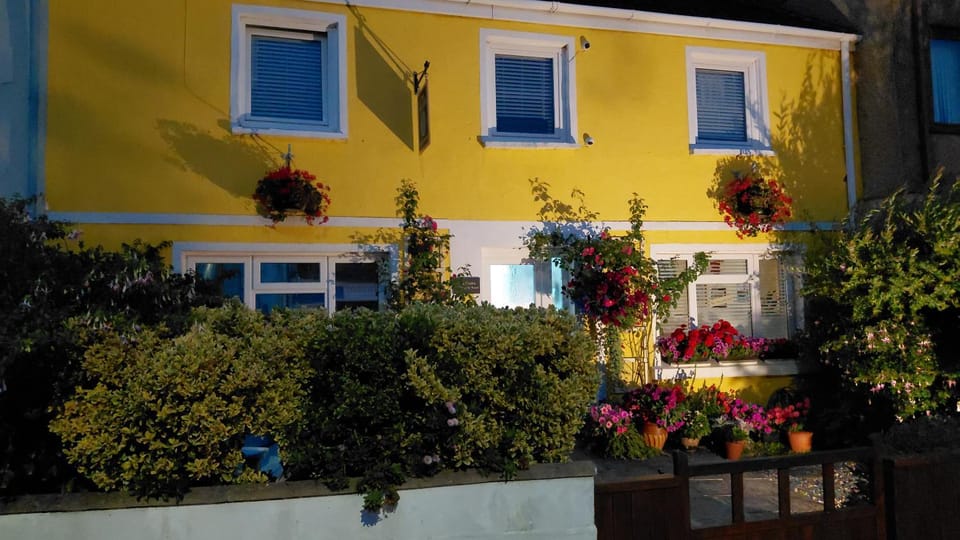 Night, Garden view