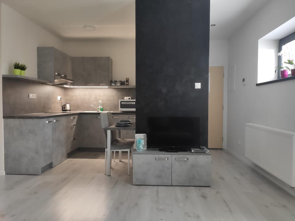 Apartman Kuzmanyho Žilina centrum Apartment in Slovakia